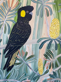 Autumn Black cockatoos #3