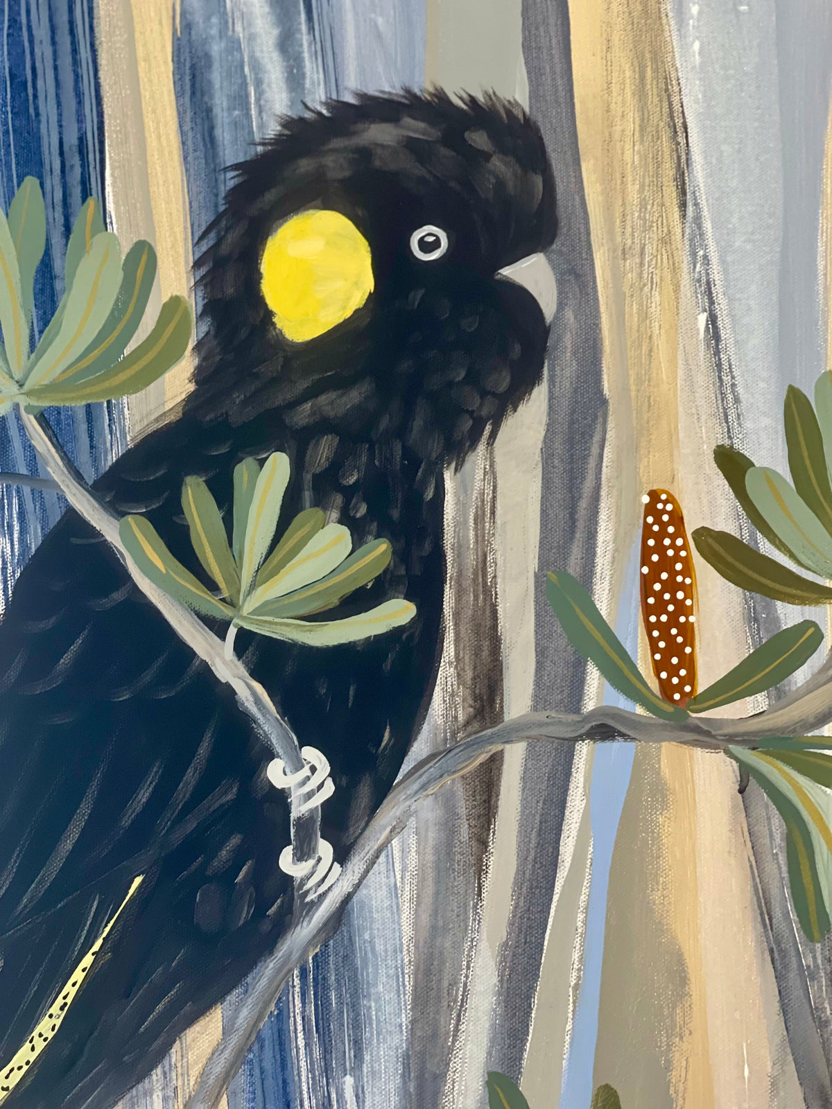 Black Cockatoo in the Banksia #3