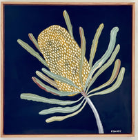 Evening Banksia #6