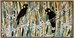 Black Cockatoos in the Bush