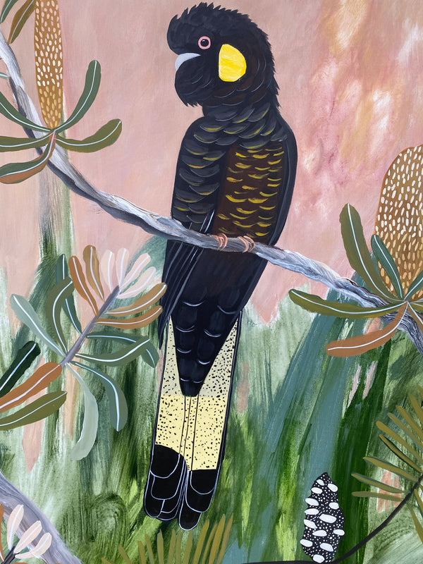 Black Cockatoos at Golden Hour #2