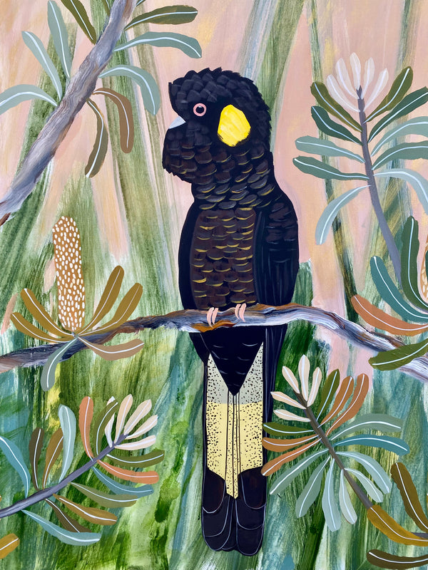 Black Cockatoos at Golden Hour #3