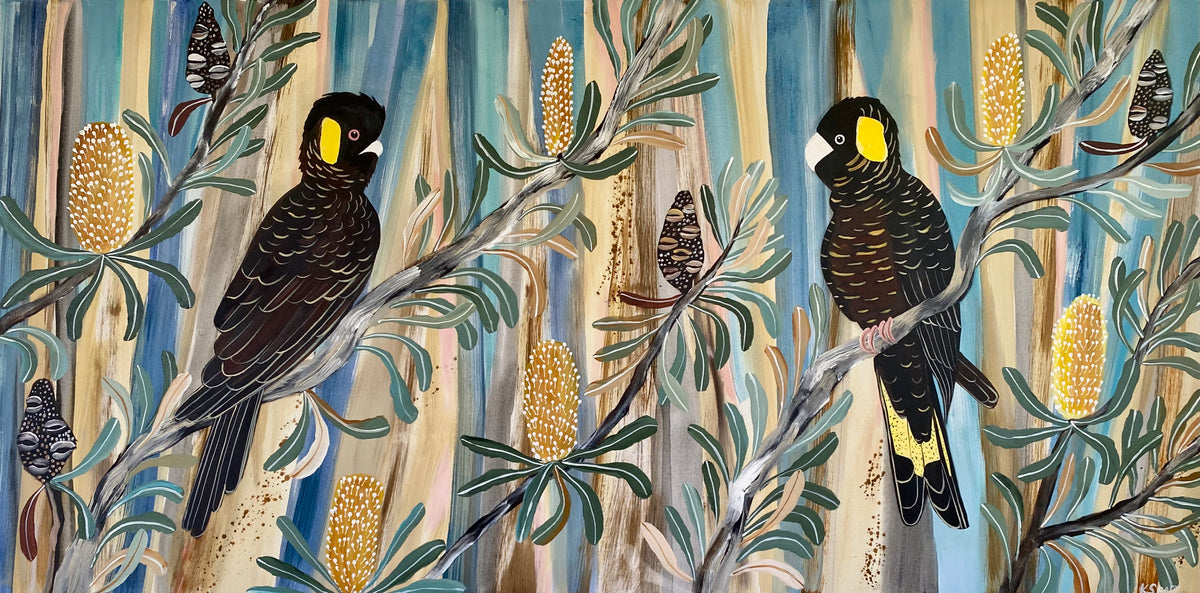 Blue Mountains Black cockatoos #6