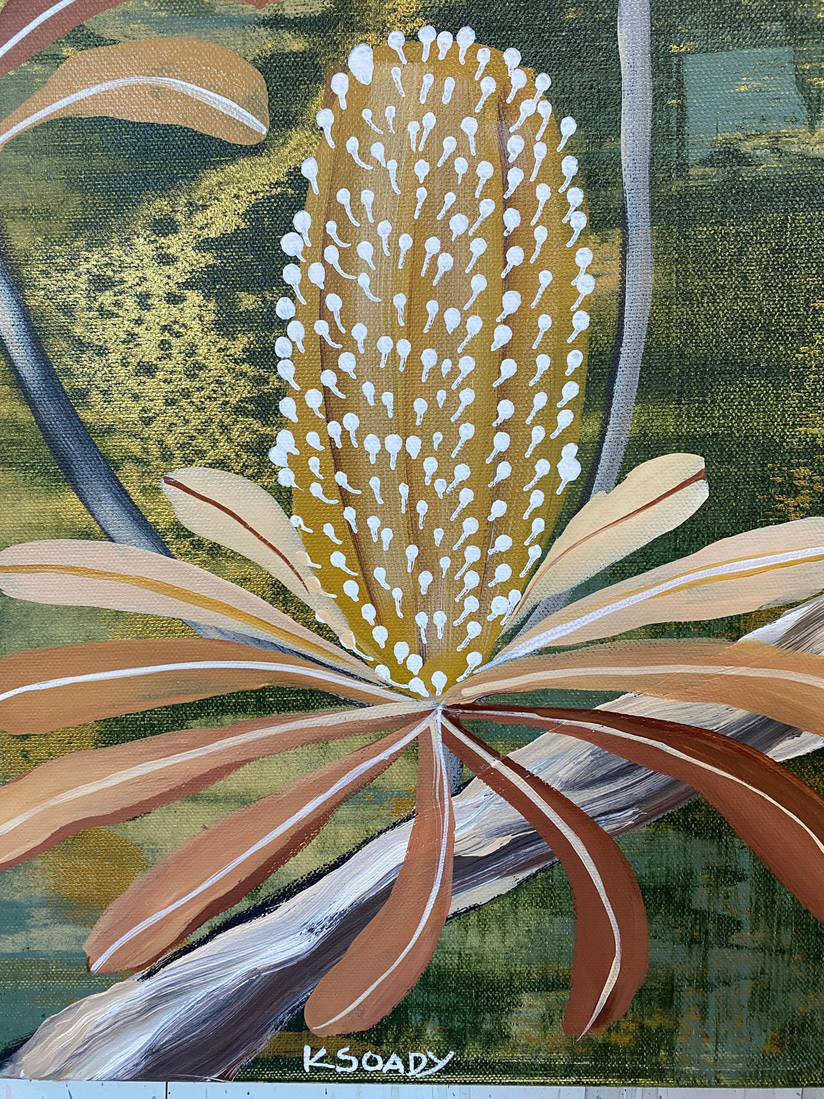 Lyrebird in the Banksia