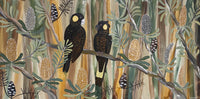Winter Black Cockatoos