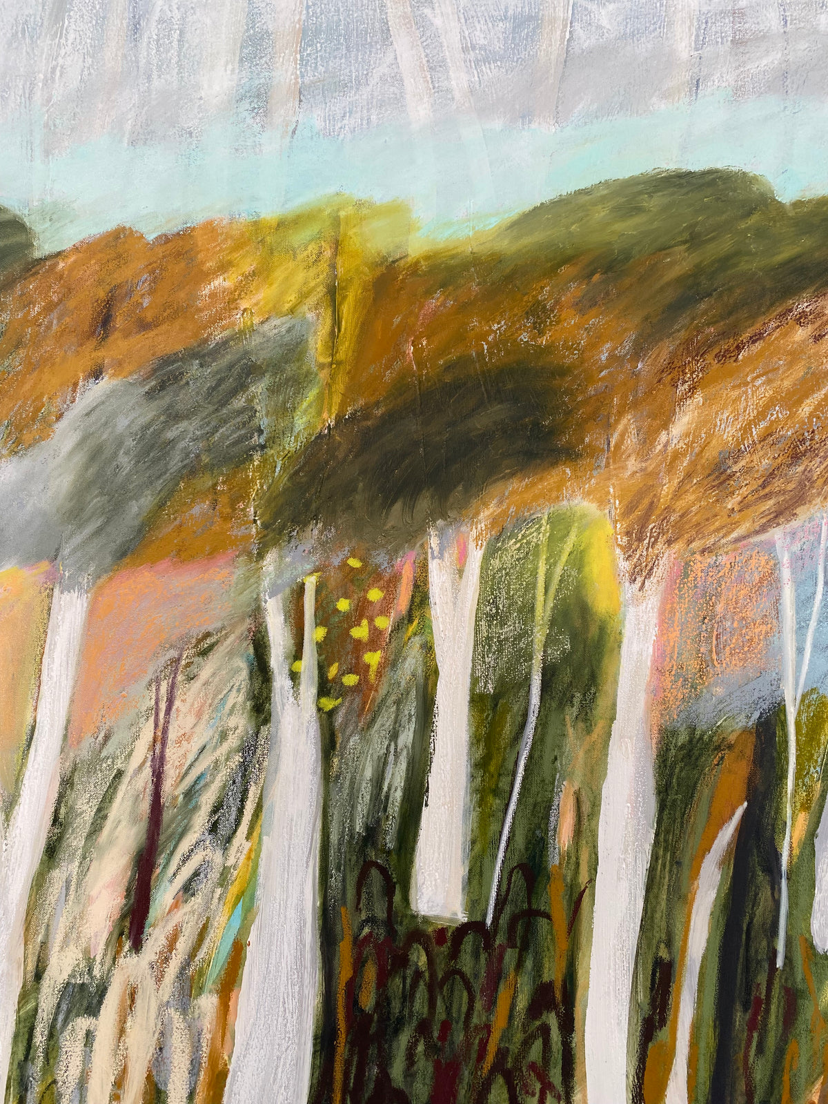 Cloudsong Canopy