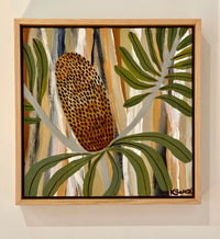 Banksia Flora #28