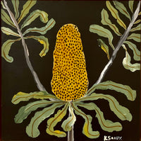 Evening Banksia #8