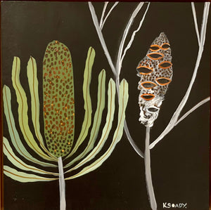Evening Banksia and Pod #4