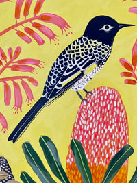 Regent Honeyeater