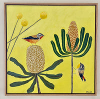 Pardalotes