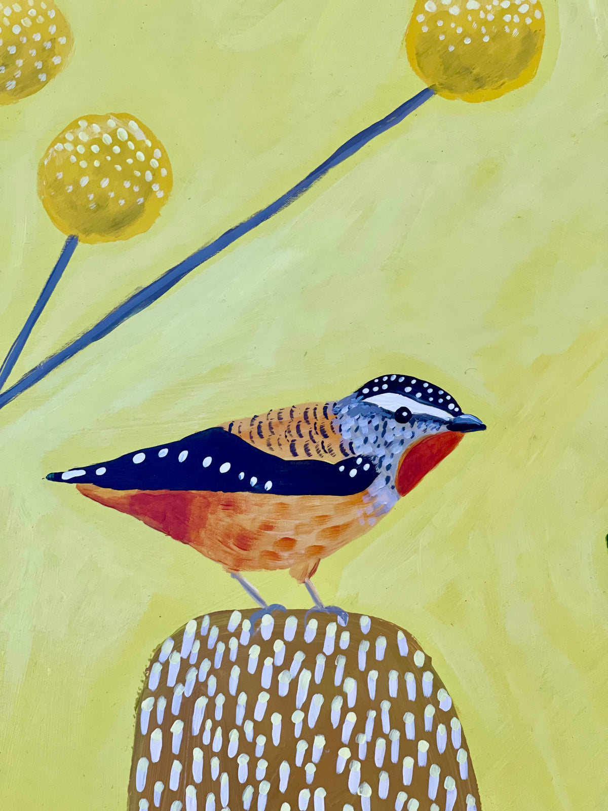 Pardalotes