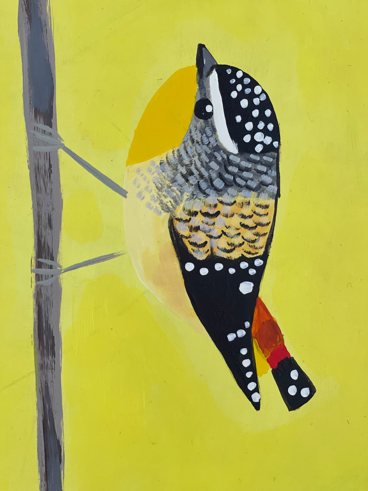 Pardalotes