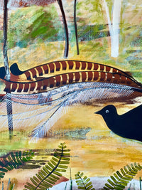 Blue Mountains Lyrebird #3