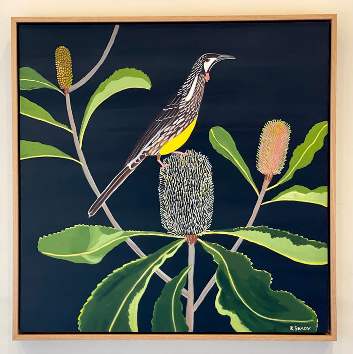 Wattlebird & Robur