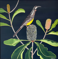 Wattlebird & Robur