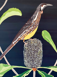 Wattlebird & Robur