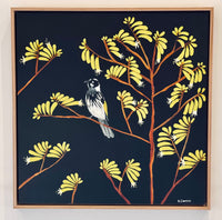 Kangaroo Paw & White Cheeked Honeyeater