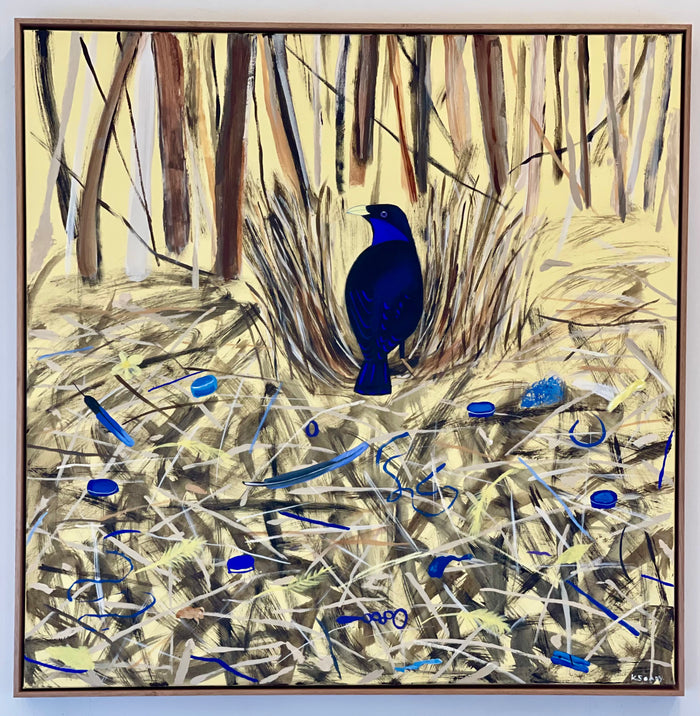 Bowerbird Love Story