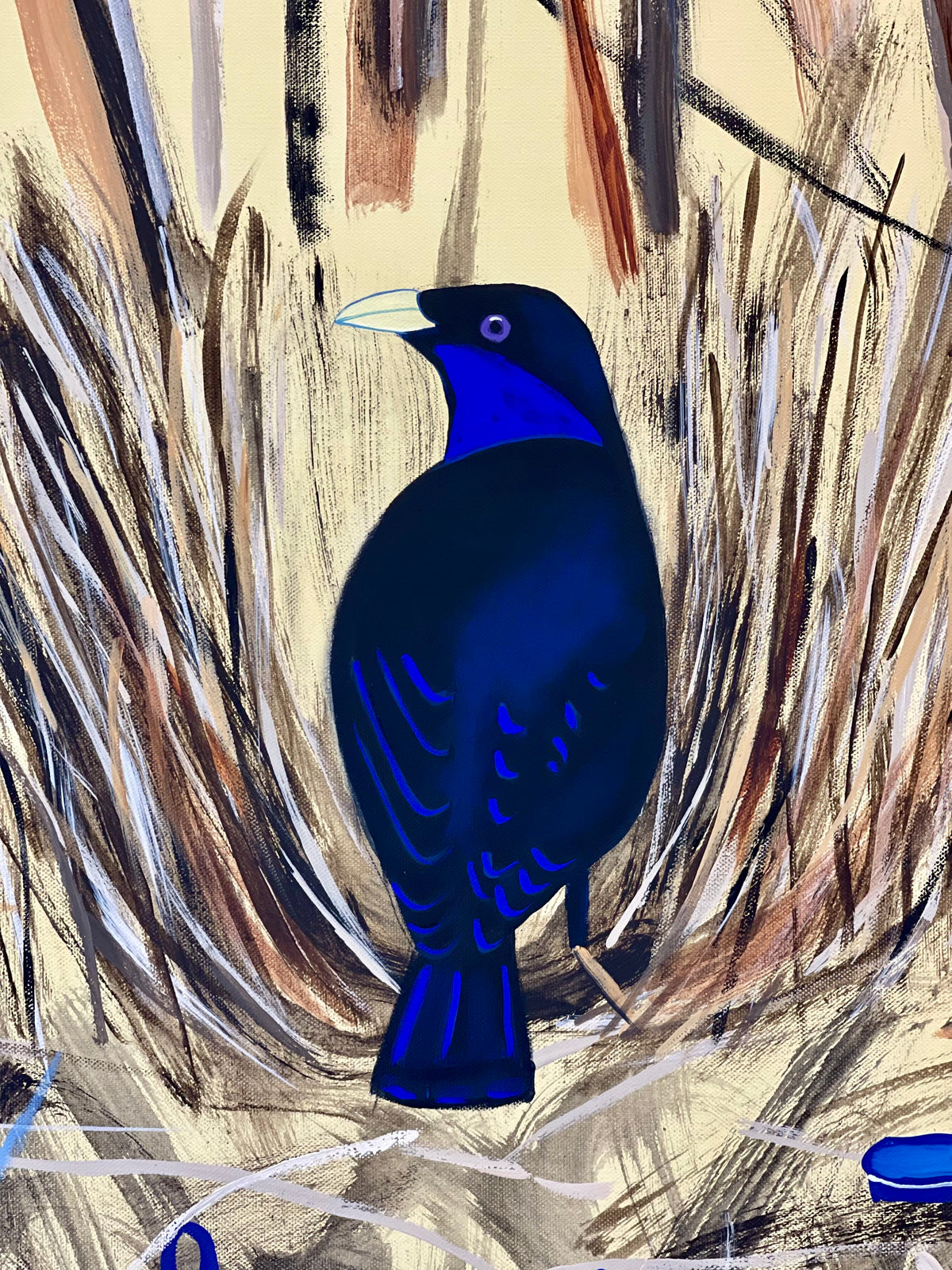 Bowerbird Love Story