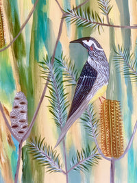 Wattlebird in The Banksia #3