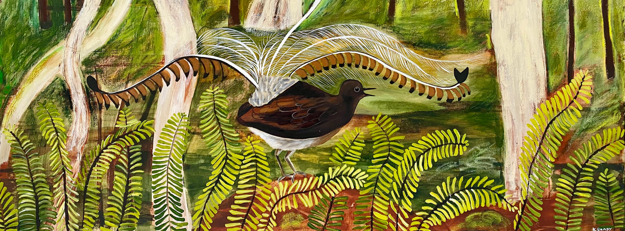 Lyrebird Morning - Commission
