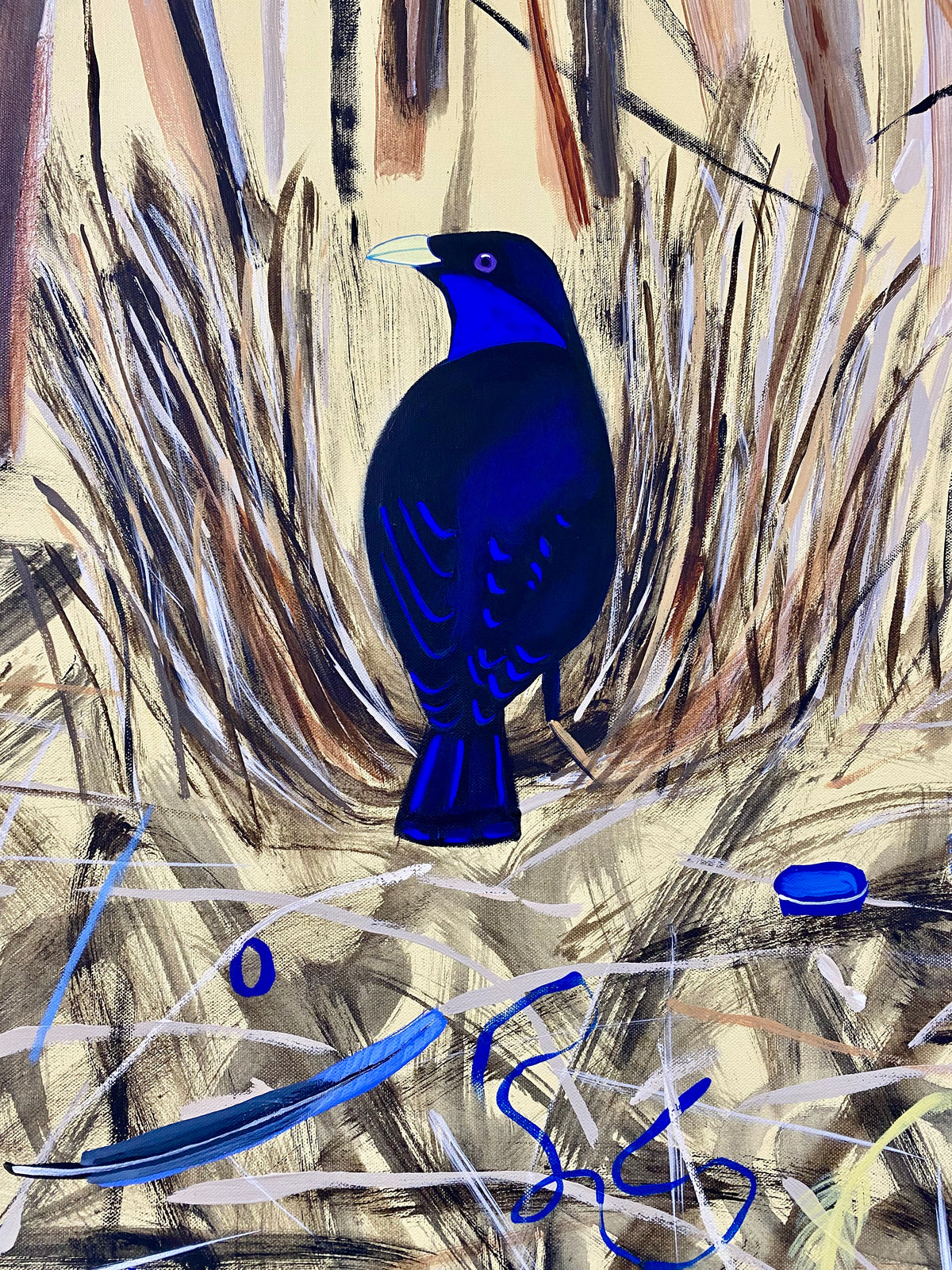 Bowerbird Love Story