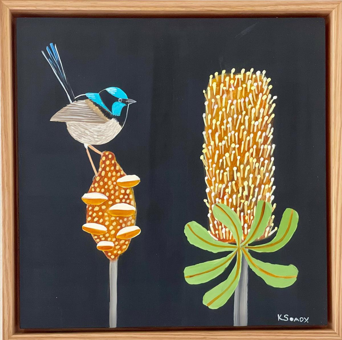 Fairy Wren and Banksia #1