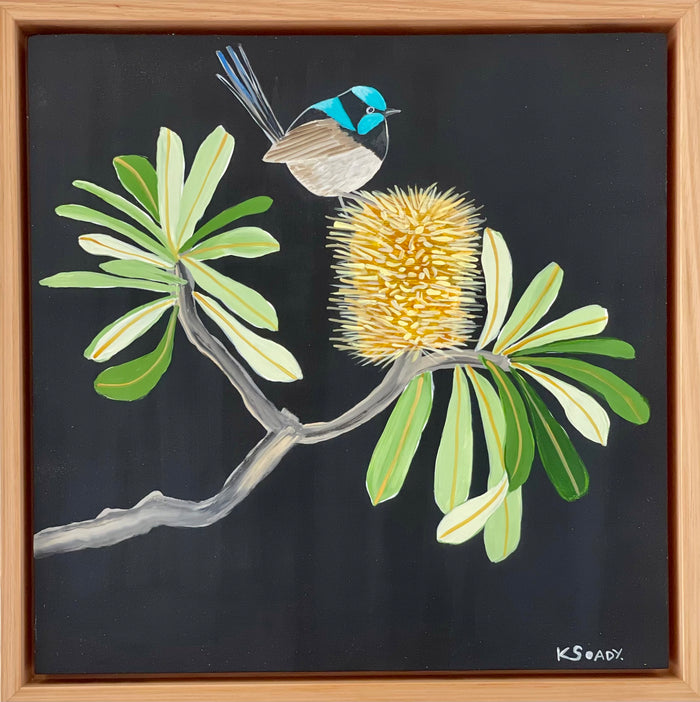 Fairy Wren and Banksia #2