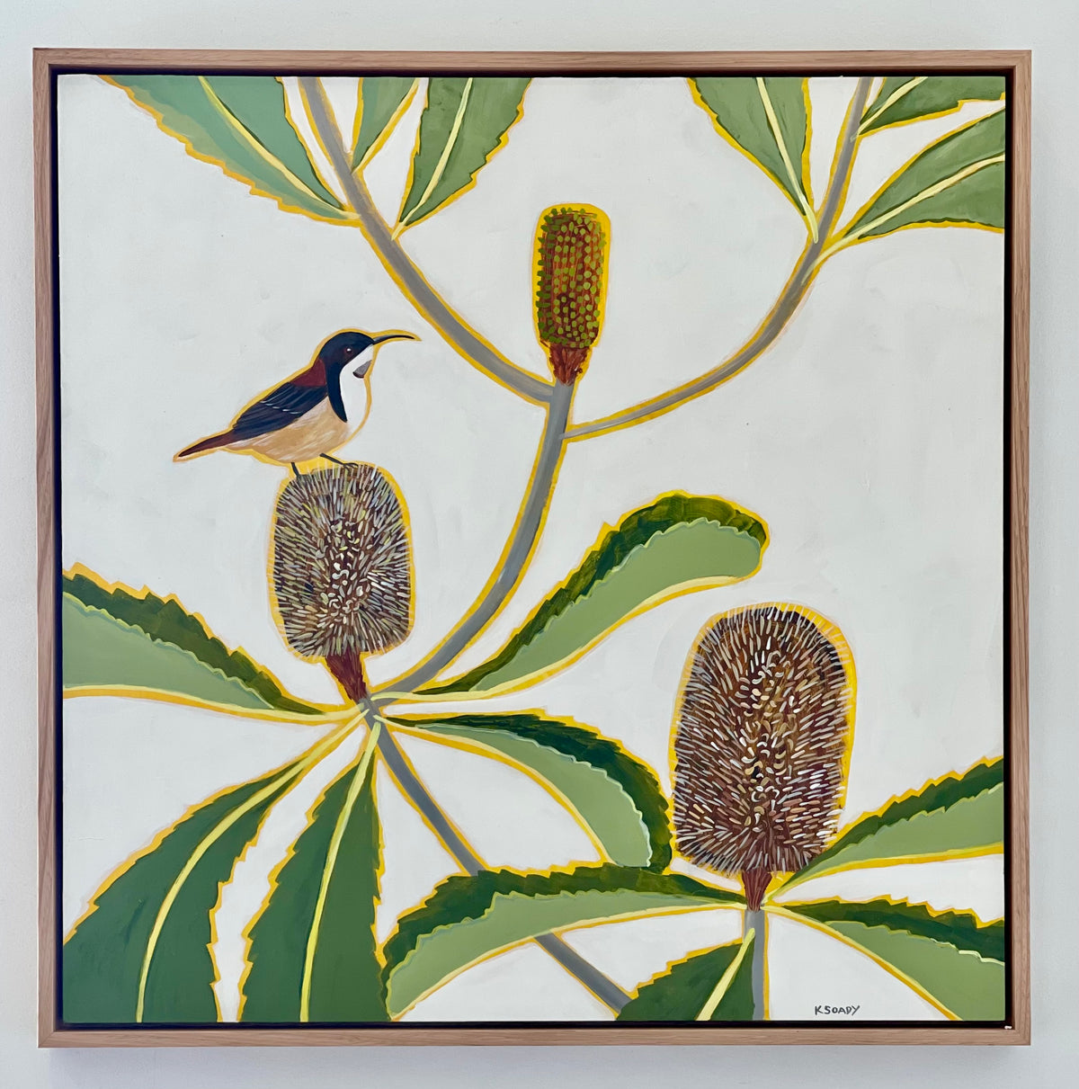 Robur Banksia and Spinebill #2