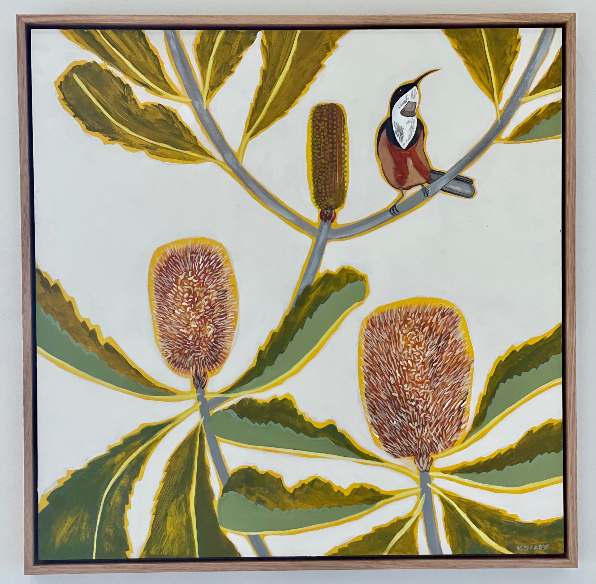 Robur Banksia and Spinebill #1