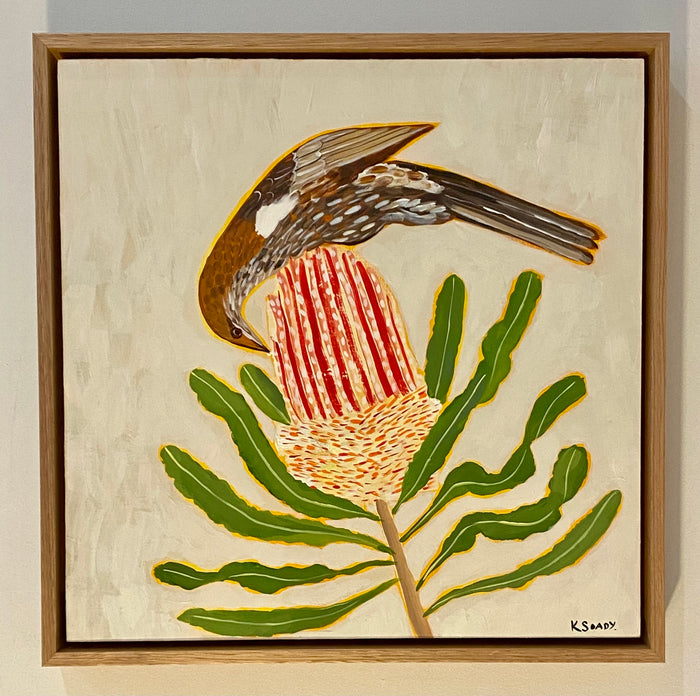 Little Wattlebird