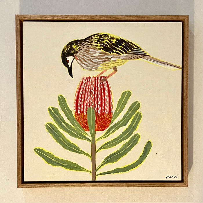 Red Wattlebird