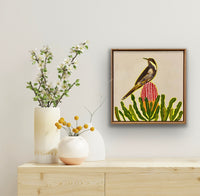 Wattlebird and Banksia