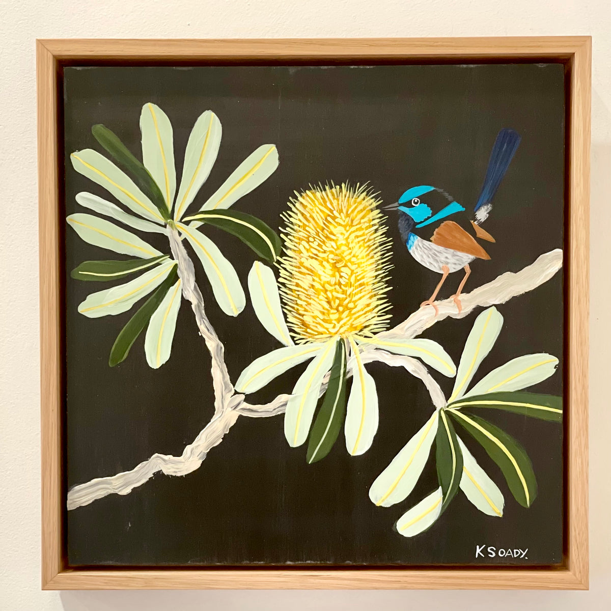 Fairy Wren and Banksia #3