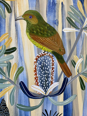 Bowerbird and Banksia
