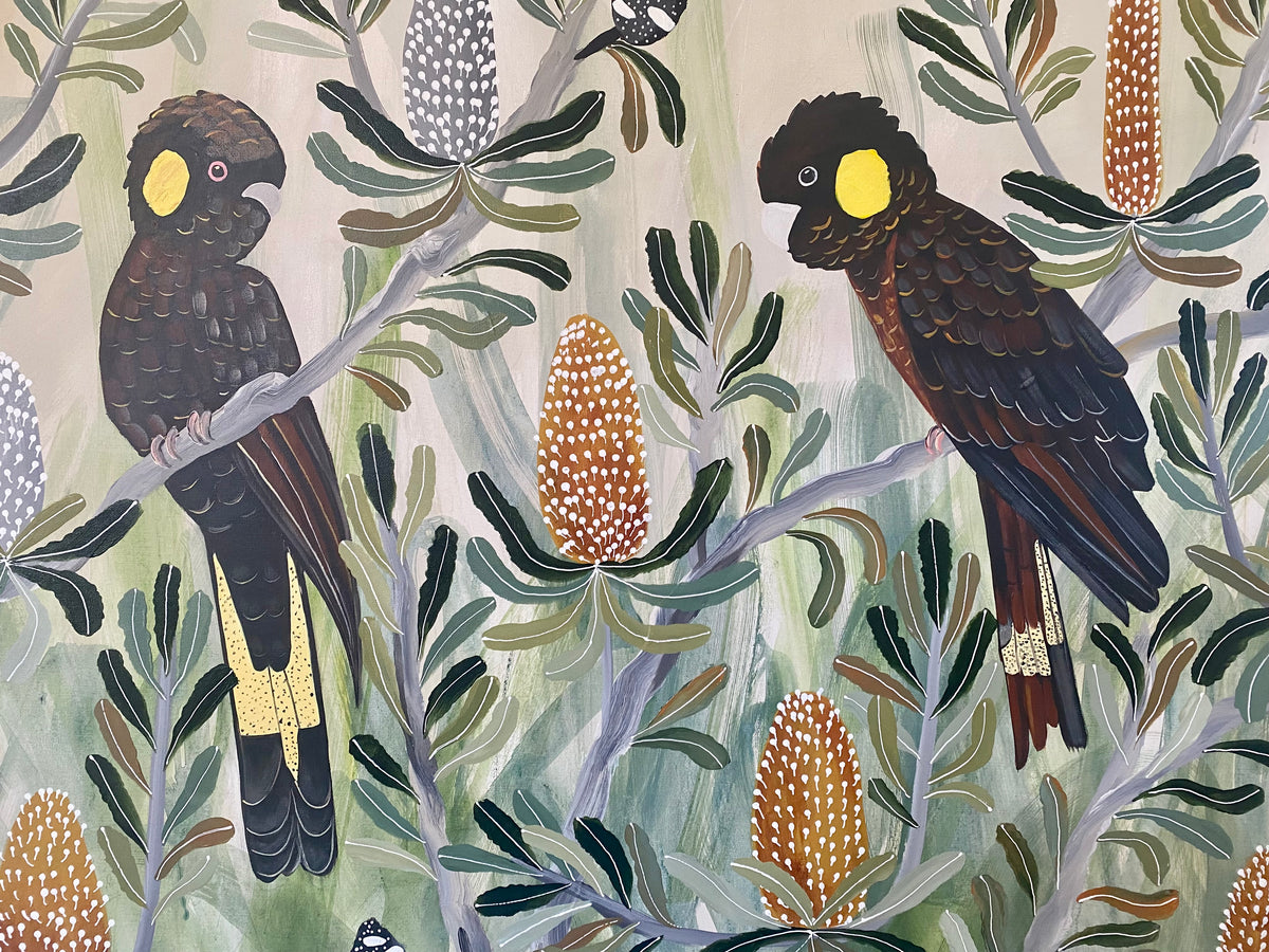 Black Cockatoos in the Banksia #6
