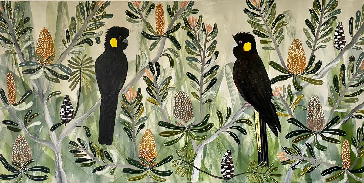 Black Cockatoos in the Banksia #7