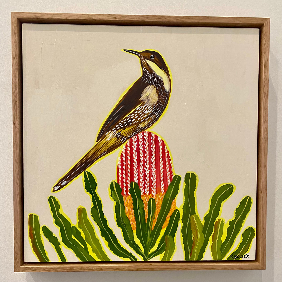 Wattlebird and Banksia