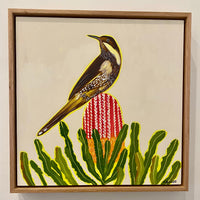 Wattlebird and Banksia