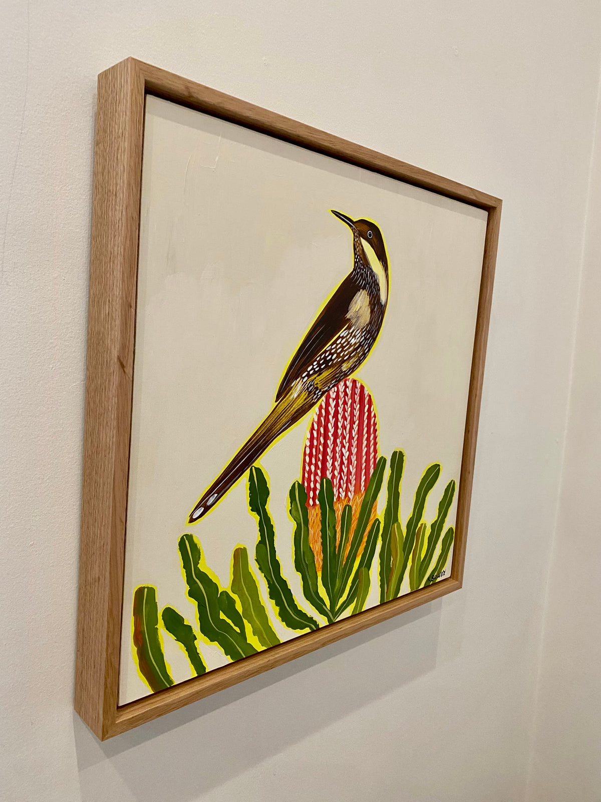 Wattlebird and Banksia