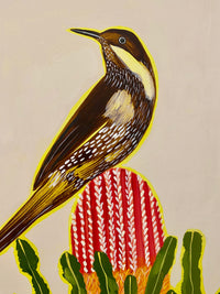 Wattlebird and Banksia