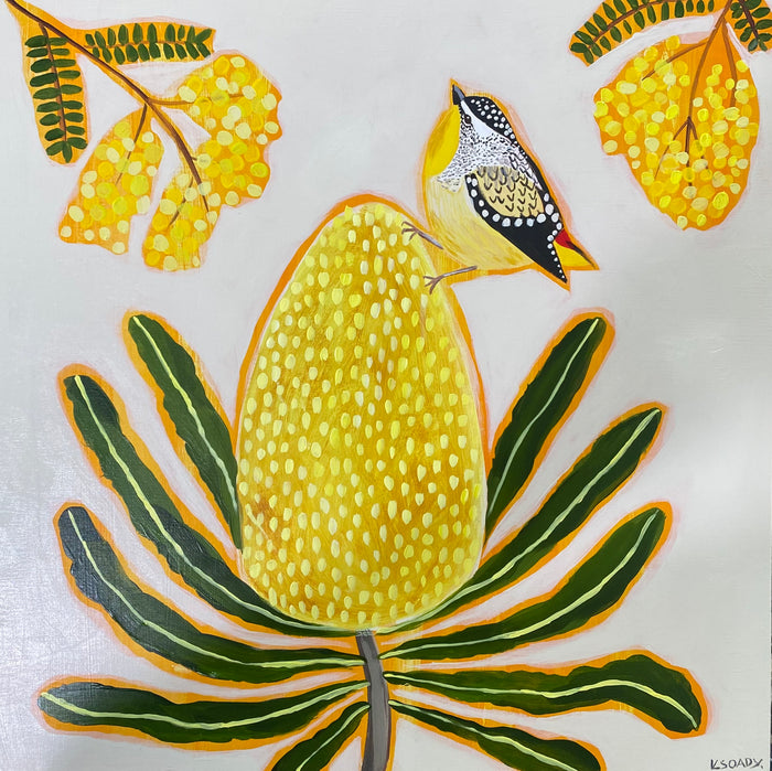 Pardalote and Banksia #2