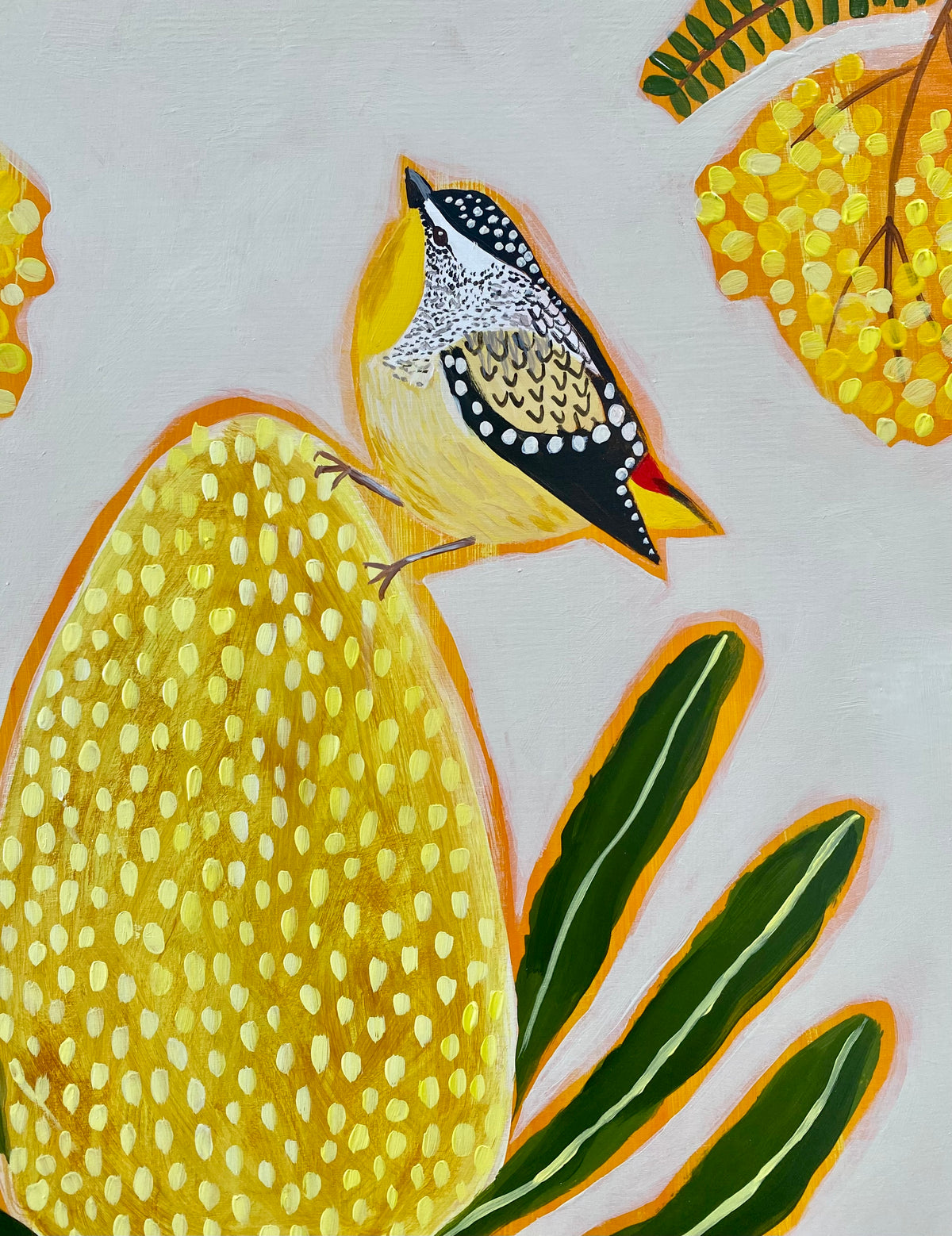 Pardalote and Banksia #2