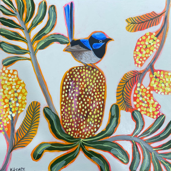 Fairy Wren & Natives #4