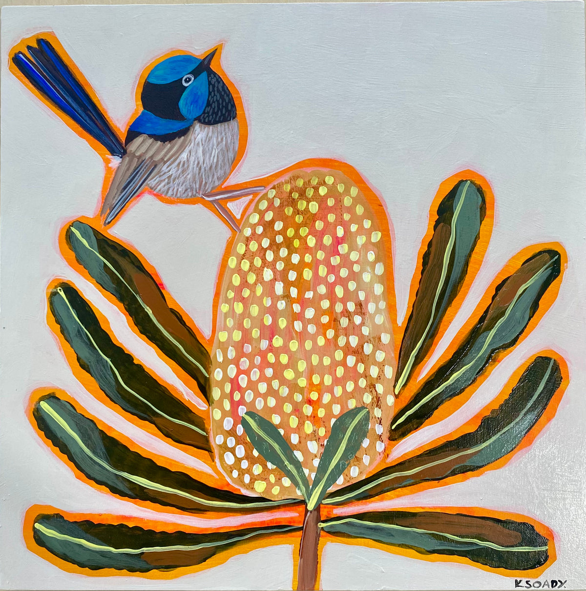 Banksia & Fairy Wren #4