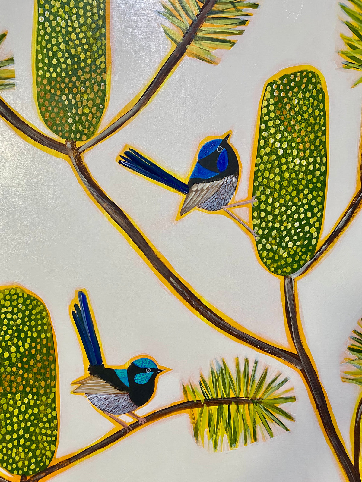 Fairy Wrens and Banksia #1