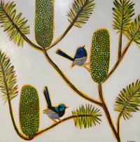 Fairy Wrens and Banksia #1