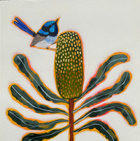 Fairy Wren and Banksia #8