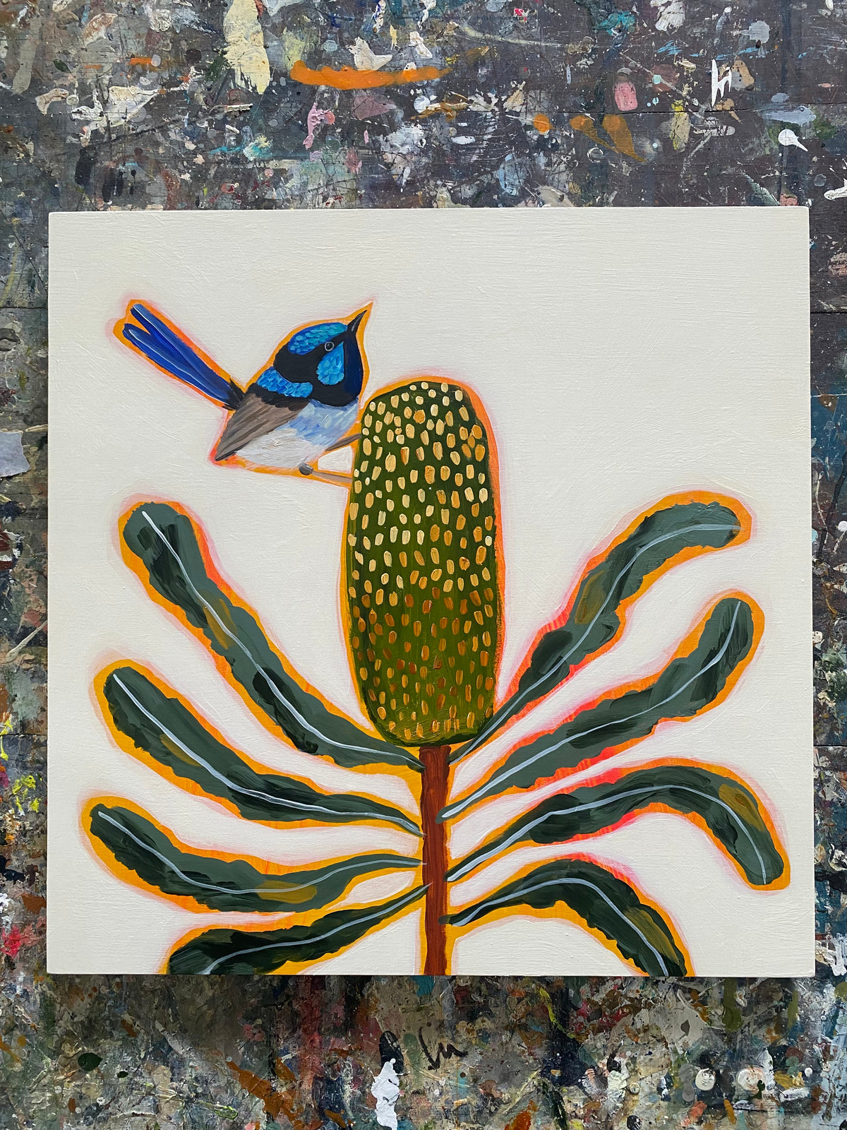 Fairy Wren and Banksia #8